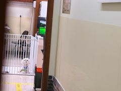 -美联众合动物医院·24h转诊中心