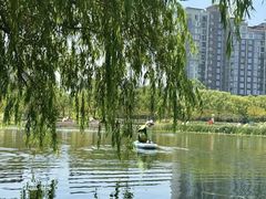 -新江湾城公园