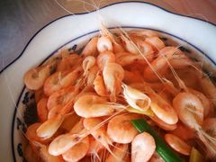 白米虾-洞天食府(北大街店)