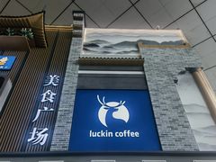-郑州新郑国际机场-T2航站楼