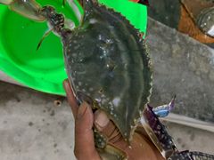 -阔澜蒸汽海鲜自助