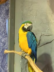 -Zoolung Zoolung动物主题公园(海信广场店)