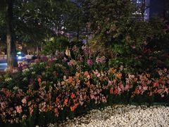 -潭村(地铁站)