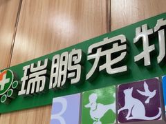 -瑞鹏宠物医院·夜间急症·心超·猫科(祖庙分店)