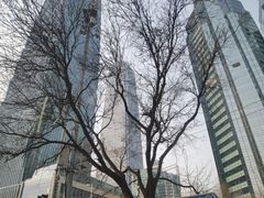 -新加坡海鲜(国贸商城店)