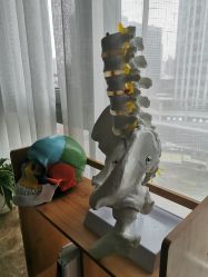 -FACE·日本小颜矫正美容整骨サロン