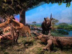 -国家自然博物馆