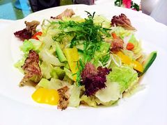 -复旦大学本部-食堂