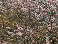 -山西通天峡景区