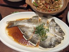 -朝鲜玉流馆(滨河东路店)