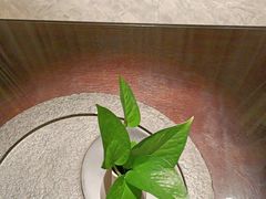 -金沙会馆