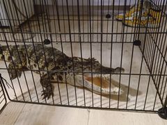 -平行世界·猫咖(首经贸店)