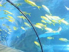 -太平洋海底世界