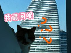 -爱洗澡的猫(望京店)