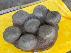 -诸城市恐龙博物馆