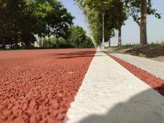 -渭河城市绿地运动公园