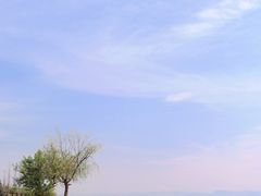 -月亮湾湿地公园