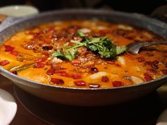-龙梅肥肠鱼(明瓦廊店)