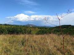 -敕勒川草原
