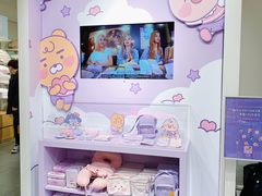-KAKAO FRIENDS(弘大店)