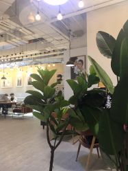 -卡兹影像STUDIO(百联购物中心店)