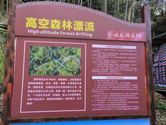 -大围山国家森林公园