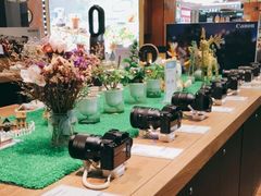 -sundanpulse顺电·脉(海岸城购物中心店)