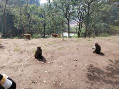 -重庆雨台山风景区