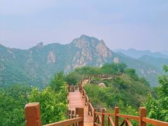 -大岭沟猕猴桃谷风景区