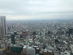-东京都厅舍