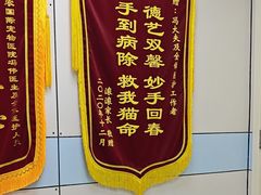 -中农国际动物医院24小时·猫科·骨科·急重症中心