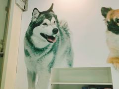 -瑞派申生动物医院·24H夜诊·国际动物医疗中心·骨外科(吴中路店)