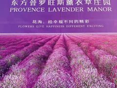 -北京东方普罗旺斯薰衣草庄园