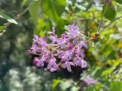 -永定河休闲森林公园