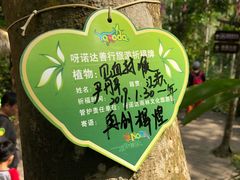 -呀诺达热带雨林