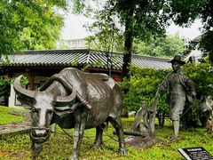 -广州神农草堂中医药博物馆