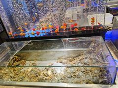 -欢乐牧场海鲜烤肉自助(牡丹园店)