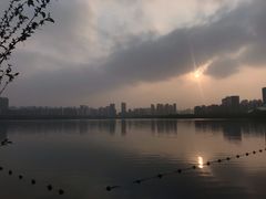 -天鹅湖体育公园