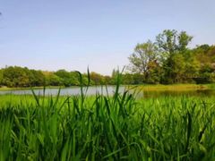 -一江春水·杭帮臻宴(三台山店)