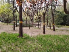 -北极寺公园