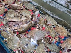 -旺角小渔村(幸福中路店)