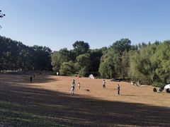 -长白岛森林公园