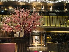 -金轩中餐厅 Jin Xuan(浦东丽思卡尔顿酒店)