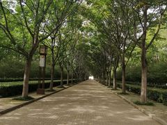 -洛阳市隋唐城遗址植物园