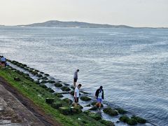 -悦海公园