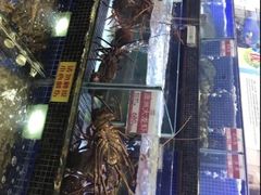 -欢乐海岸美食联盟