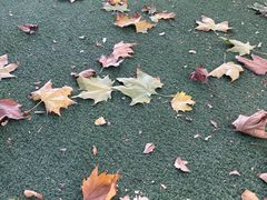 -西安电影制片厂