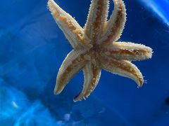 -青岛海底世界-水族馆