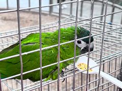 -南宫五洲植物乐园