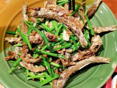 -印象鲵宴·张家界地标美食名片(溪布街店)